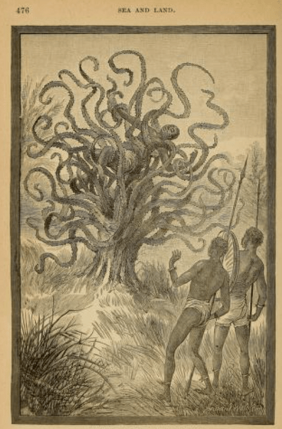 Man-Eating Varieties and Other Unusual&nbsp;Flora